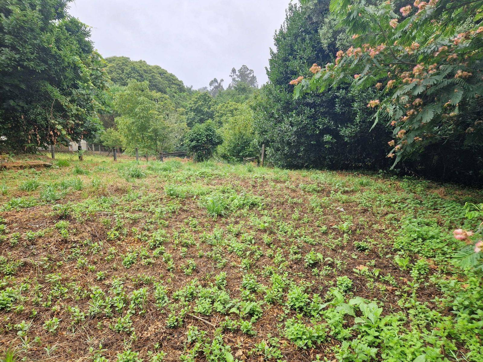 CASA A REFORMAR CON TERRENO MUY CERCA DE BERTAMIRANS