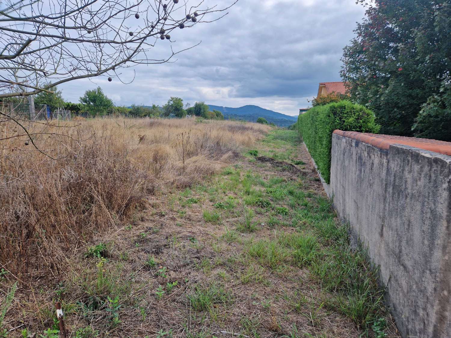 FINCA CON PROYECTO DE OBRA Y PRECIOSAS VISTAS ZONA BUGALLIDO, AMES