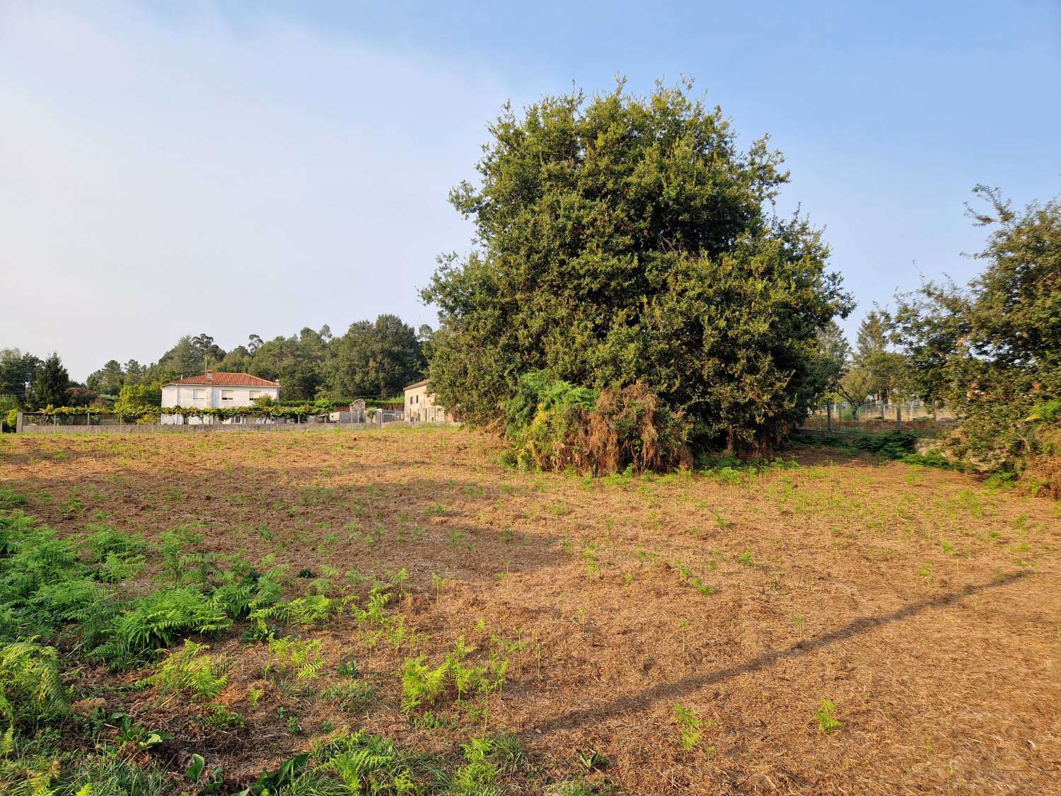 Building area for sale in Teo