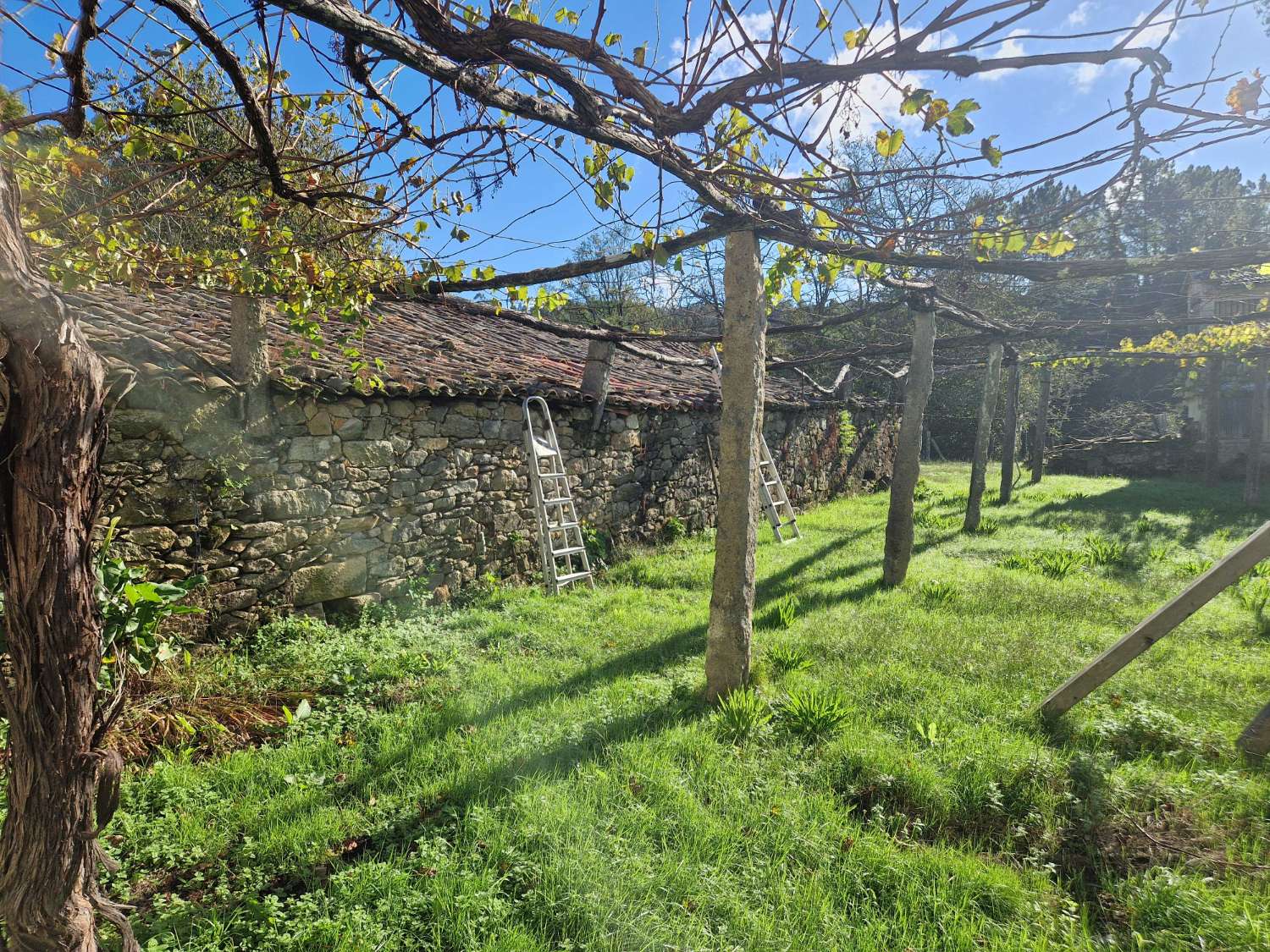 CASA DE PIEDRA CON AMPLIO TERRENO ZONA DE CALO, TEO